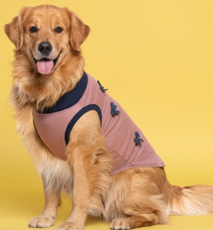 Luckypaws Blue Boe High neck Pink Sweater - LuckyPaws