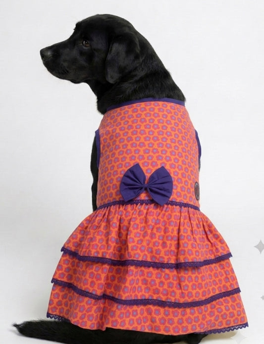 LuckyPaws Royal Ethnic Frock in vibrant orange with traditional embroidery, perfect for festive occasions.