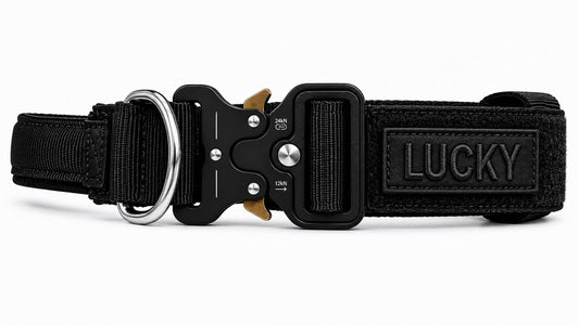 Black LuckyPaws Personalized High Strength Dog Collar with custom engraving, durable nylon material, and adjustable fit.