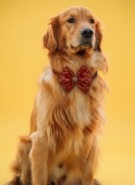 LuckyPaws Ethnic Red Bow