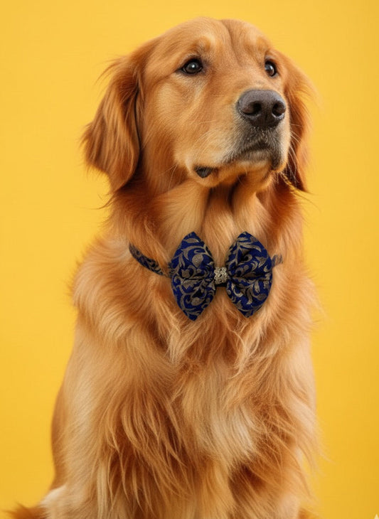 LuckyPaws Ethnic Neavy Blue Bow