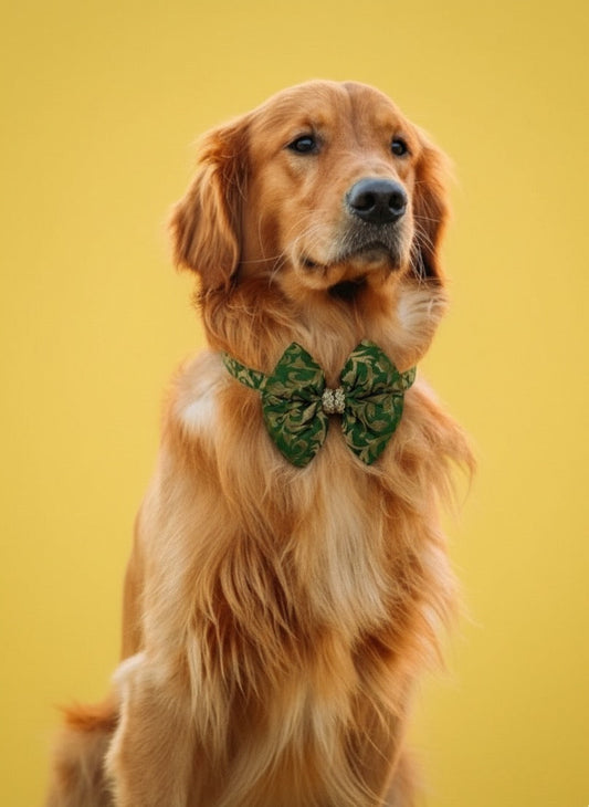 LuckyPaws Ethnic Green Bow