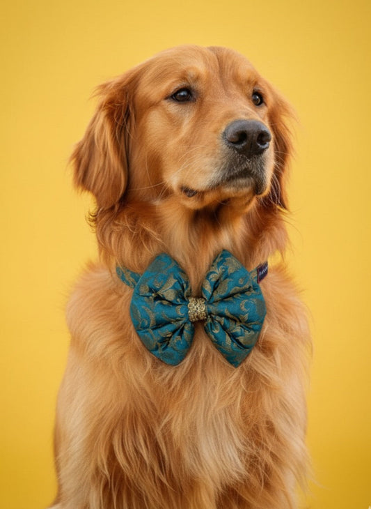LuckyPaws Ethnic Sky Blue Bow