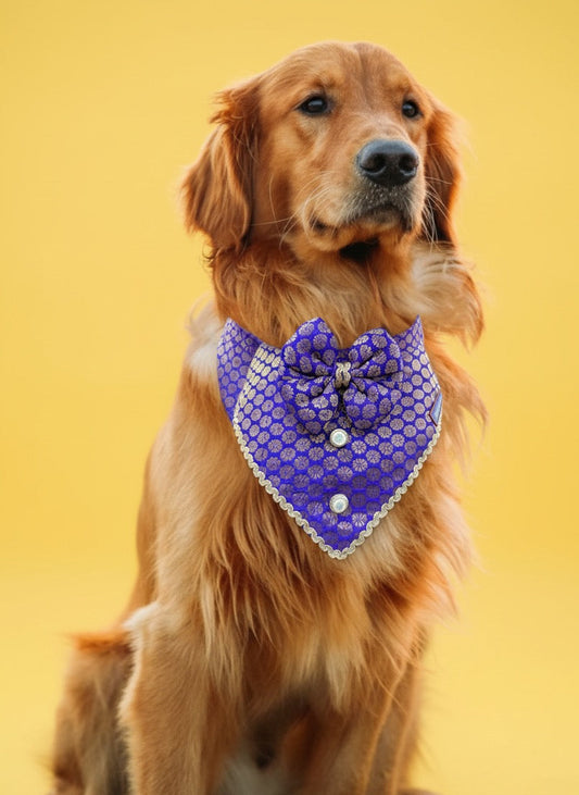 LuckyPaws Ethnic Bandana Purple Colour