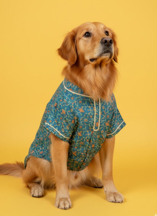 LuckyPaws Ethnic Kurta Blue Colour