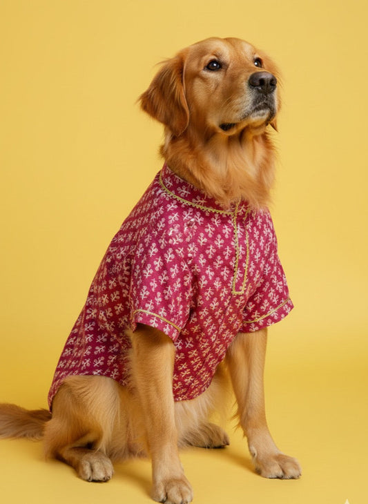 LuckyPaws Ethnic Kurta Pink Colour