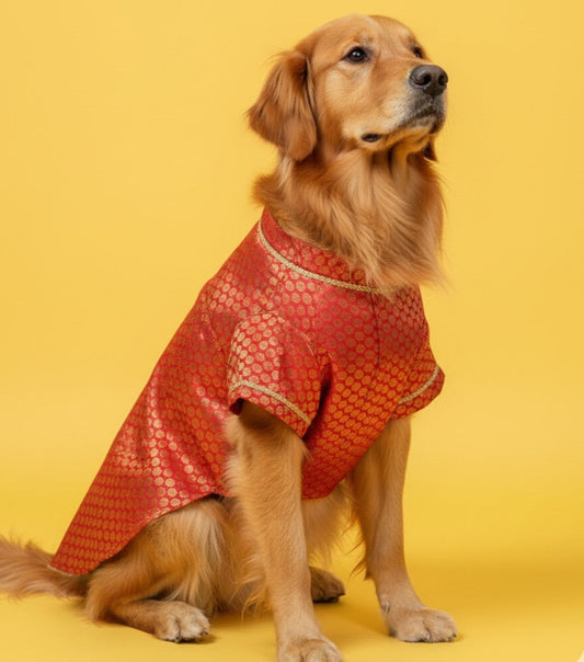 LuckyPaws Ethnic Sherwani Red Colour