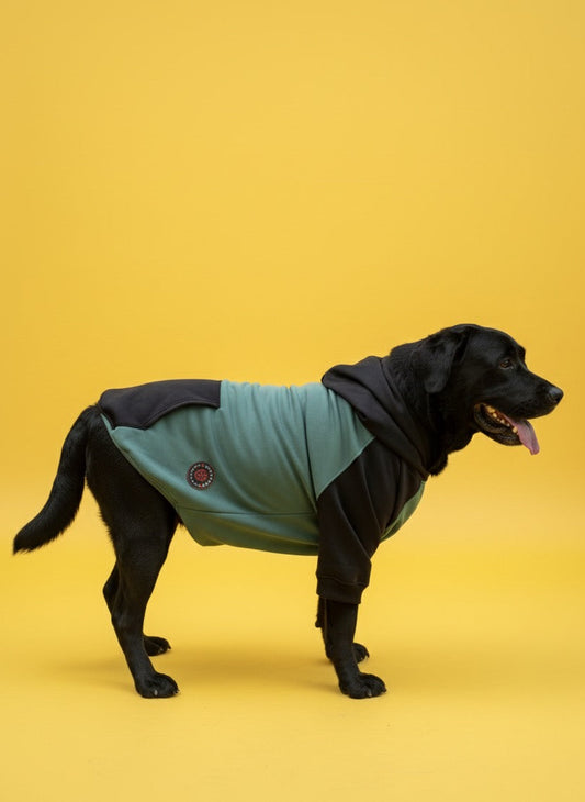 LuckyPaws Dual Colour Sweatshirt With Black Pocket