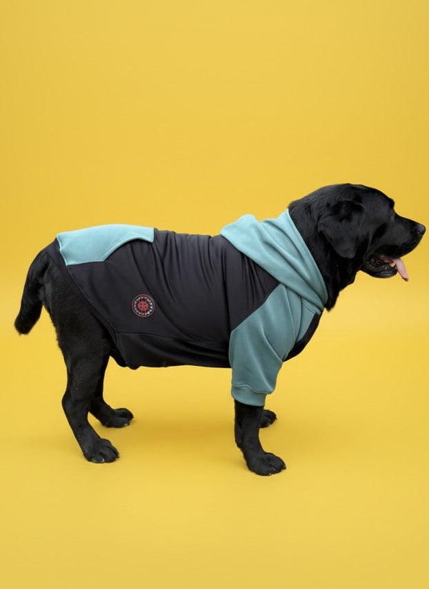 LuckyPaws Dual Colour Sweatshirt With Green Pocket - LuckyPaws