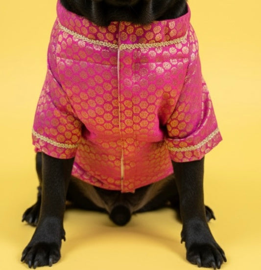 LuckyPaws Ethnic Sherwani Pink Colour