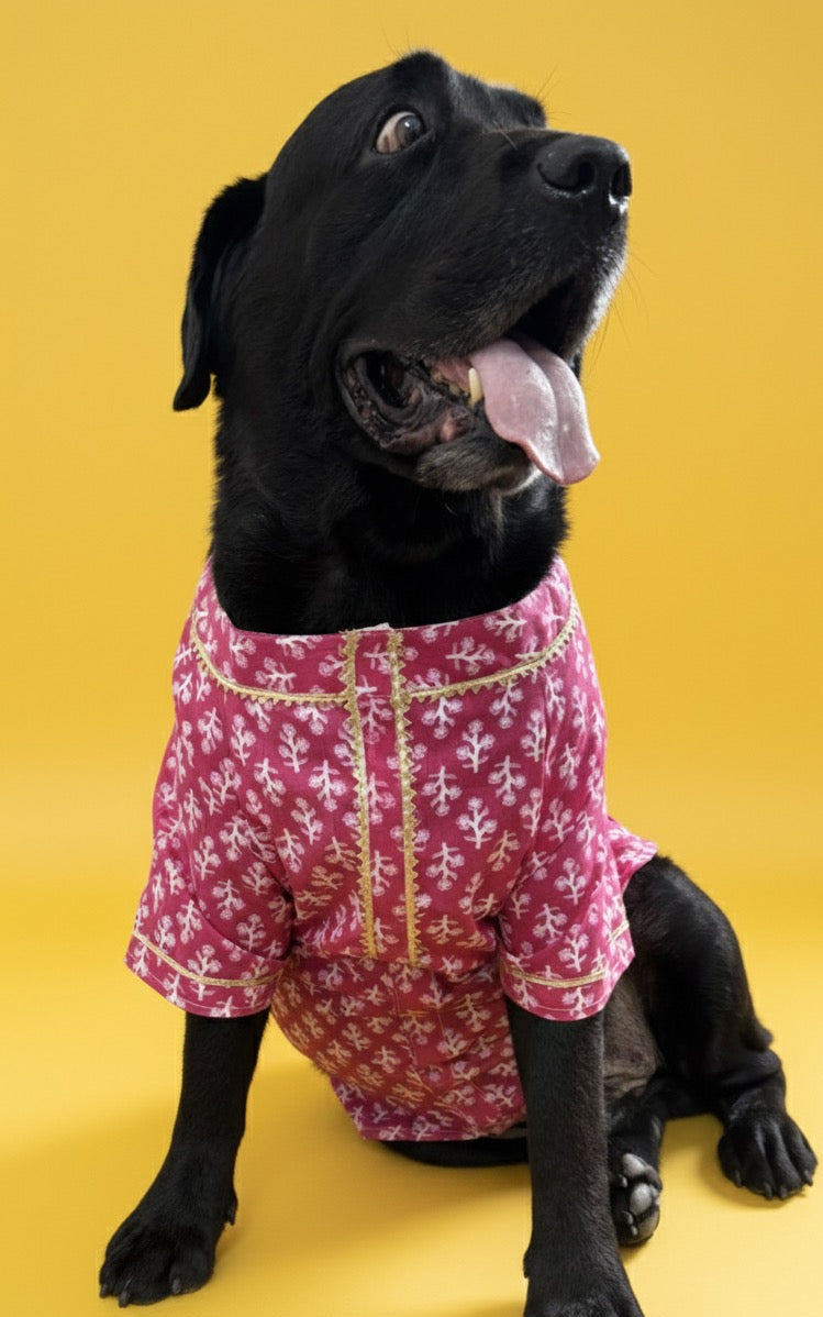 LuckyPaws Ethnic Kurta Pink Colour