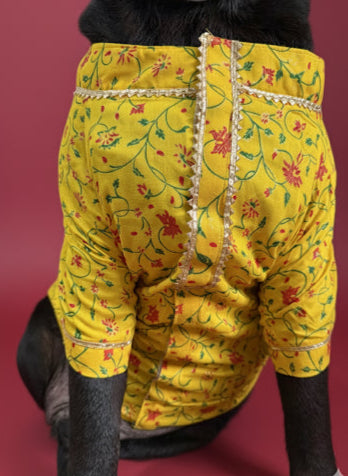 LuckyPaws Ethnic Kurta Yellow Colour