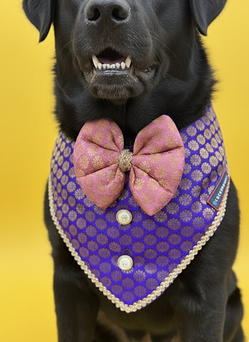 LuckyPaws Ethnic purple Bandana With Pink Boe