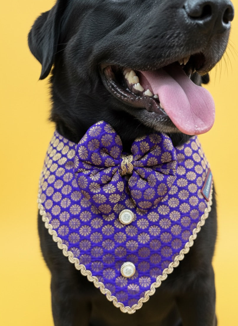 LuckyPaws Ethnic Bandana Purple Colour