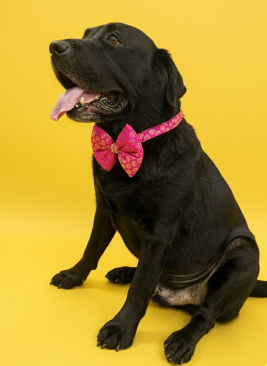 LuckyPaws Ethnic Rani Pink Bow