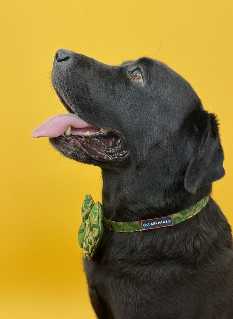 LuckyPaws Ethnic Green Bow