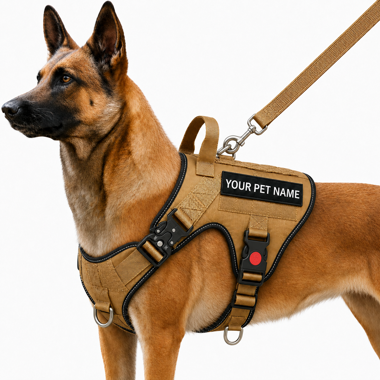PERSONALIZED TACTICAL DOG HARNESS WITH LEASH