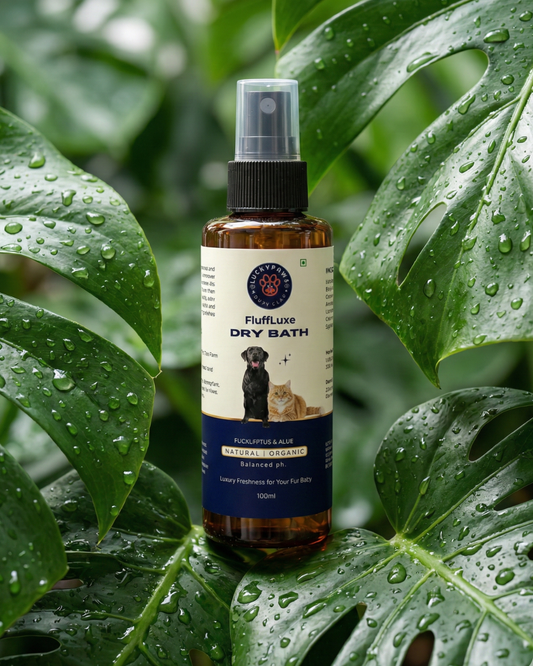 LuckyPaws  Premium Dry Bath | FluffLuxe - LuckyPaws