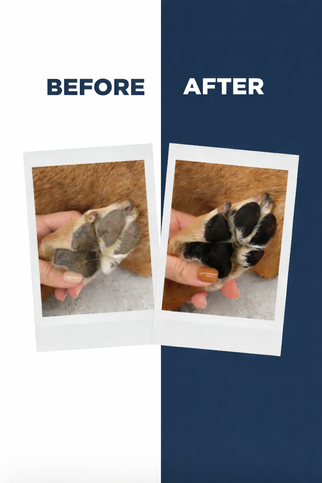 LuckyPaws Paw Balm | Heal and Shield - LuckyPaws