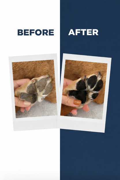 LuckyPaws Paw Balm | Heal and Shield - LuckyPaws