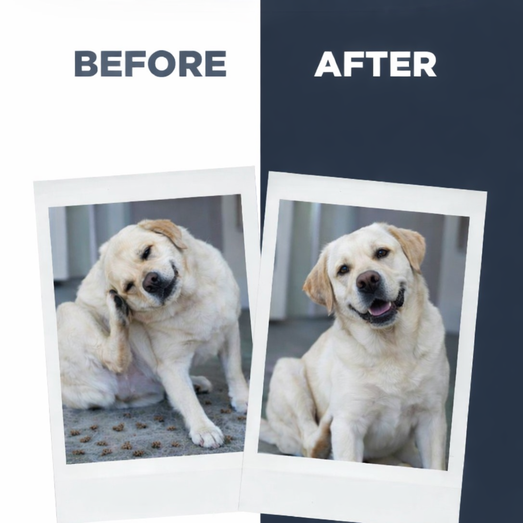 LuckyPaws Anti-Tick Shampoo | NeemShield - LuckyPaws