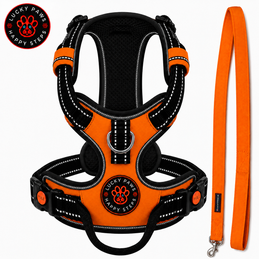 Bright orange LuckyPaws reflective dog harness with leash, showcasing adjustable chest straps and reflective detailing for visibility.