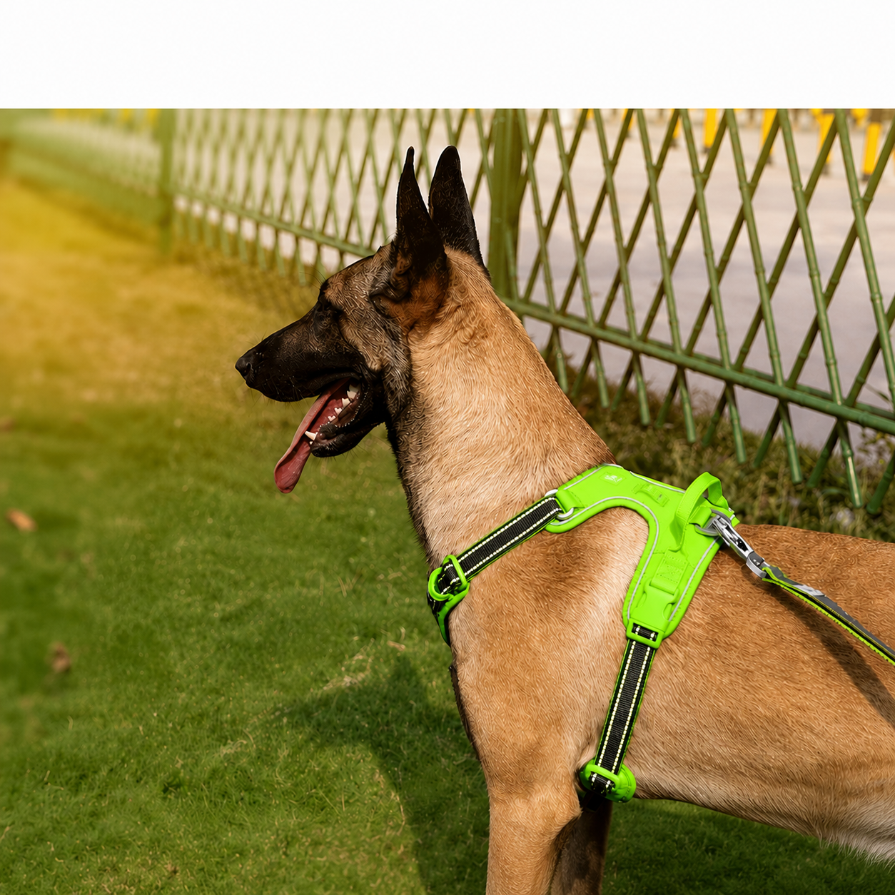 LuckyPaws neon green reflective dog chest harness with leash, designed for visibility and secure walking.