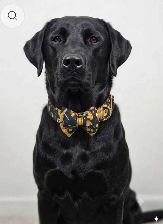 LuckyPaws black floral dog collar with a detachable bow tie, featuring a stylish and adjustable design for pets.