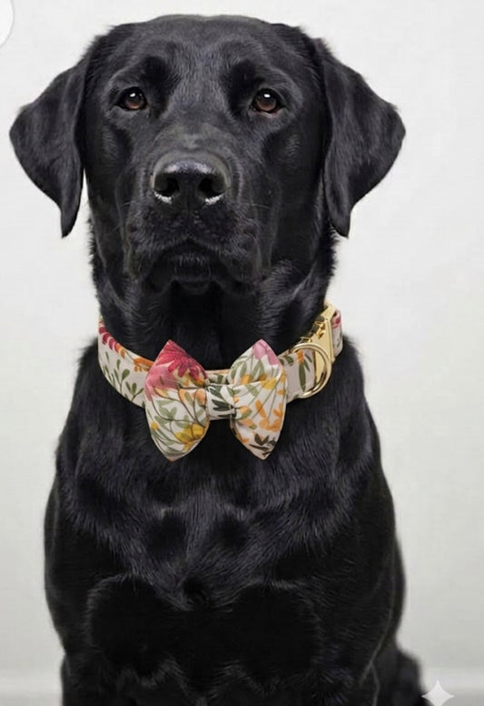 White floral dog collar with a detachable bow tie and elegant design, perfect for stylish pets from LuckyPaws.