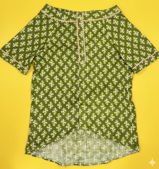 LuckyPaws  Ethnic Kurta Green Colour