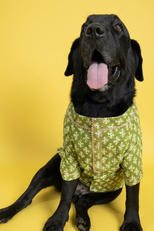 LuckyPaws  Ethnic Kurta Green Colour