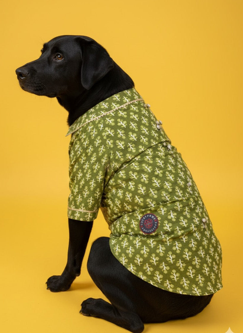 LuckyPaws  Ethnic Kurta Green Colour