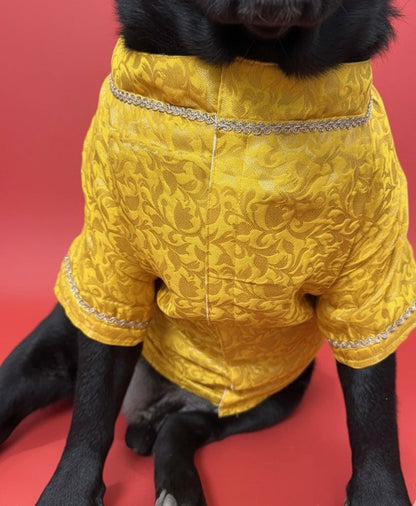 LuckyPaws Ethnic Sherwani Yellow Colour
