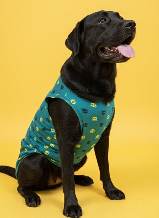 LuckyPaws Panda Print T Shirt