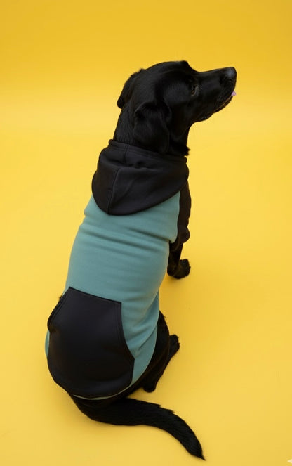 LuckyPaws Dual Colour Sweatshirt With Black Pocket