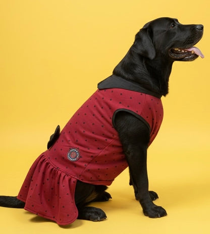 Luckypaws Winter Frock