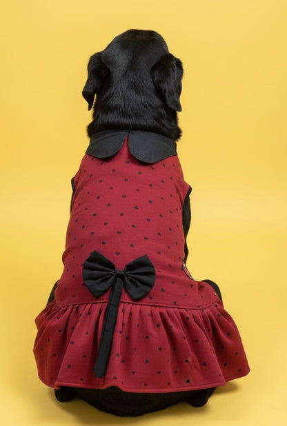 Luckypaws Winter Frock