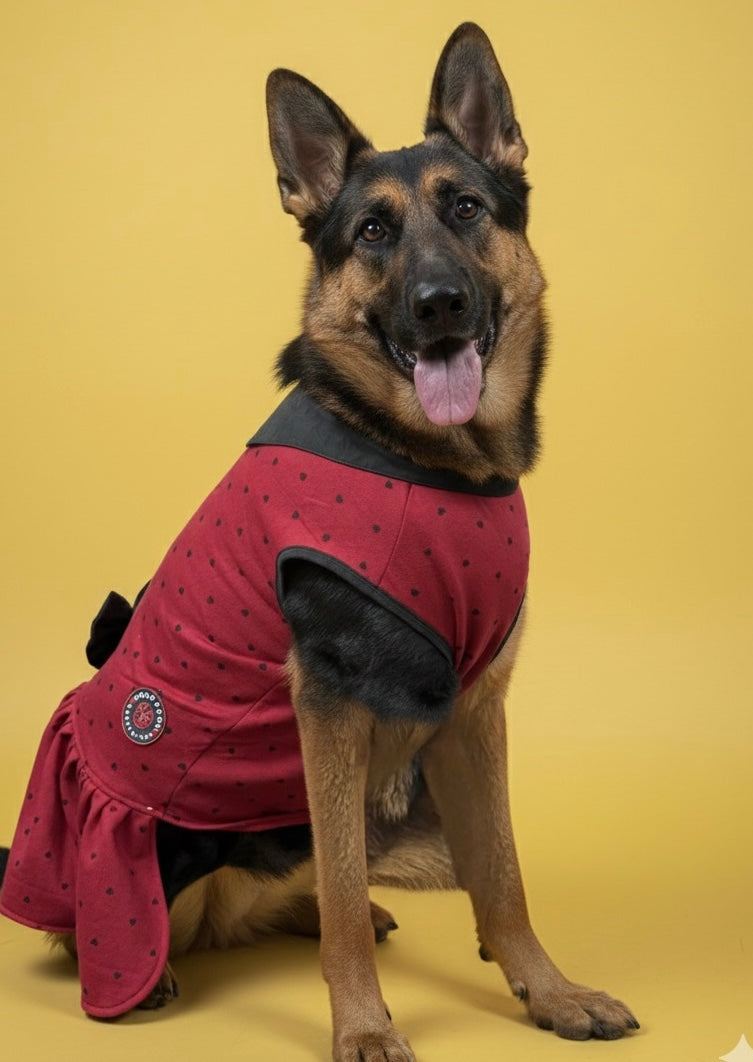 Luckypaws Winter Frock