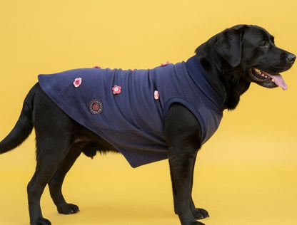 Luckypaws Frosty Flowers High neck Blue Sweater