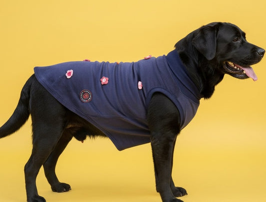 Luckypaws Frosty Flowers High neck Blue Sweater