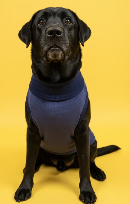 Luckypaws Frosty Flowers High neck Blue Sweater