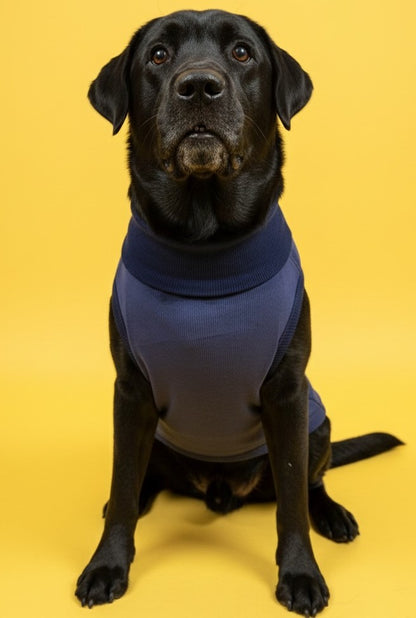 Luckypaws Frosty Flowers High neck Blue Sweater