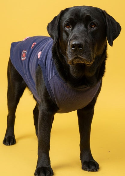 Luckypaws Frosty Flowers High neck Blue Sweater