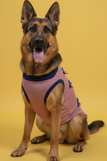 Luckypaws Blue Boe High neck Pink Sweater