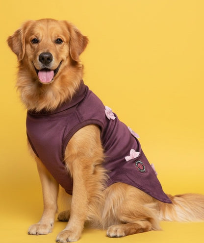 Luckypaws Pink Boe High neck Maroon Sweater