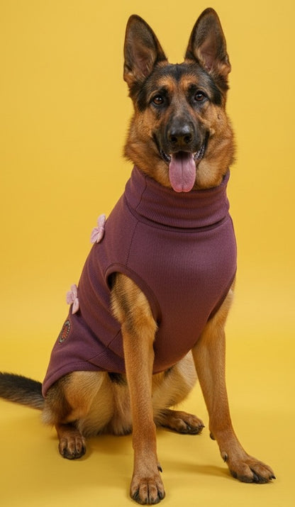Luckypaws Pink Boe High neck Maroon Sweater