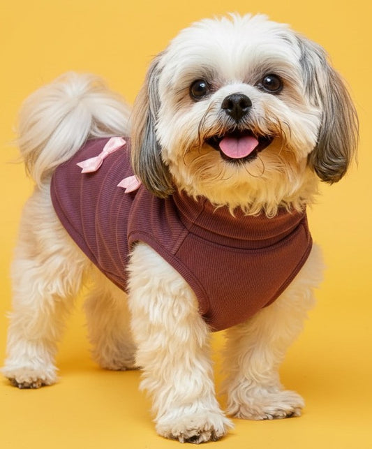 Luckypaws Pink Boe High neck Maroon Sweater