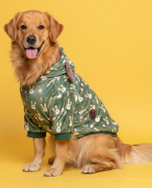 LuckyPaws Green Velvet Hoodie