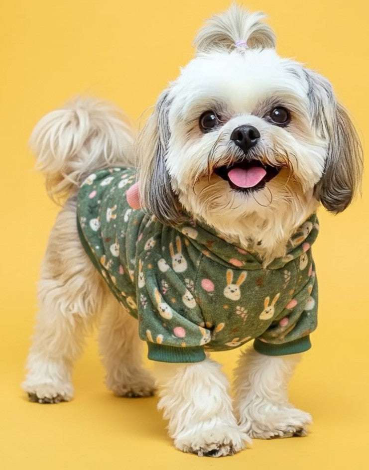 LuckyPaws Green Velvet Hoodie