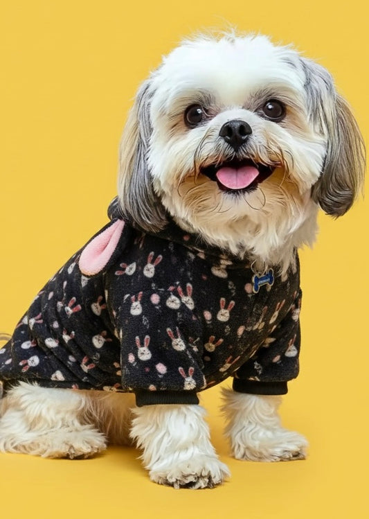 LuckyPaws Black Velvet Hoodie